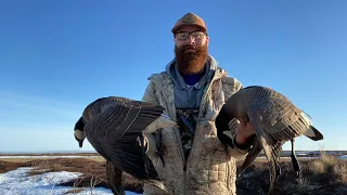 ALASKA Spring GOOSE Hunt!