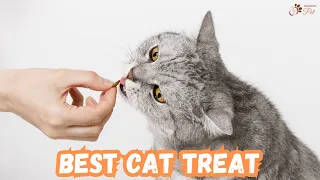 How to Choose the Right Cat Treats