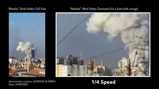 Debunking Beirut Explosion Myths: Bird Video