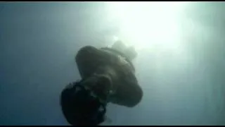 GoPro Maui : snorkeling with sea turtles