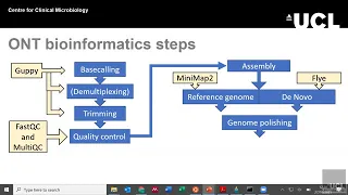 ONT bioinformatics part 1: introduction