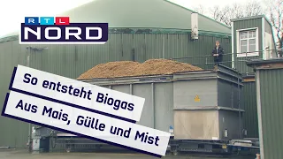 Biogas: Die Vor- und Nachteile der klimaneutralen Erdgas Alternative