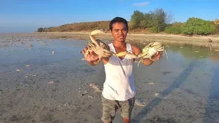 Catching crabs on the edge of a remote island