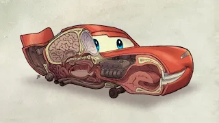 THE TRUTH ABOUT HUMANS IN CARS! 😱😰