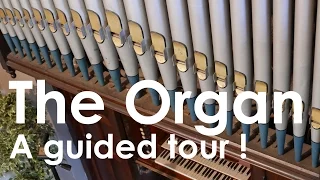 The Organ :  A guided Tour !