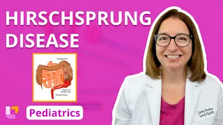 Hirschsprung Disease: Alterations in Health -  Gastrointestinal Pediatric Nursing | @LevelUpRN