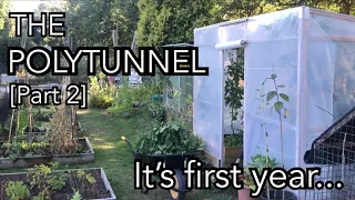 Building a Polytunnel (Part 2) || What I learned in its first year and what i'm changing!