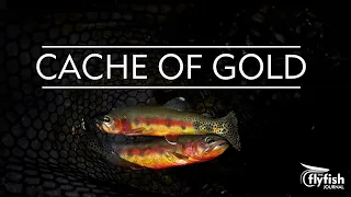 CACHE OF GOLD: Fly fishing the Eastern Sierra for Golden Trout