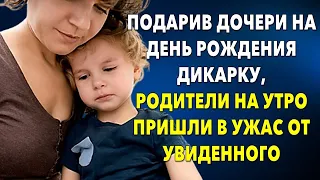 📗 Богатенькие родители подарили дочери дикарку, а на утро они пришли в ужас... 📒Истории из жизни