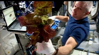 Space Station Live: How Does Your Garden Grow in Space?