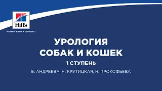 Вебинар на тему: «Урология собак и кошек. 1 ступень».