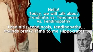 [Hippo] Tendinitis vs. Tendinosis vs. Tendinopathy!!