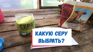 Какая сера нужна для голубики