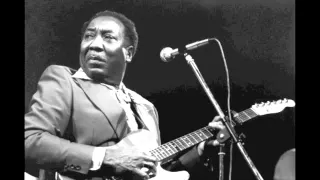 Muddy Waters - I'm A King Bee