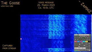 [The Goose] Voice message 25. Mar 2020 15:54 UTC