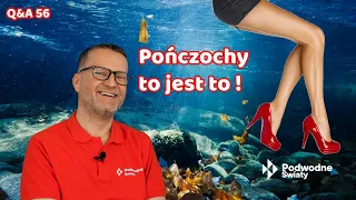 Q&A56. Pończochy to jest to !