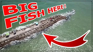 MASSIVE Jetty Fish HERE ! | Fishing the Jetty for Monsters !! | 3rd Coast Fishin Charters