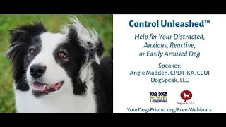 "Control Unleashed" – help for your distracted, anxious, reactive, or easily aroused dog 2-5-2022