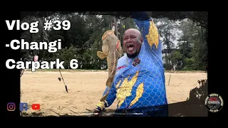 Vlog #39-Changi Carpark 6 CNY