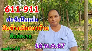 611-911 พ่อชัยฝันแม่น ฝันช้างเผือกมาบ้าน คืนต่องวด 16/5/67