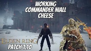 WORKING COMMANDER NIALL CHEESE | After Patch 1.10