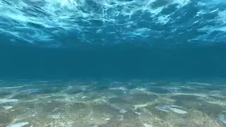 free background . underwater. blue sea underneath