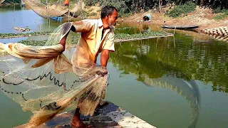 Unbelievable Cast Net Fishing Videos।Catching Lot of fish by cast net। Net fishing videos(part-382)