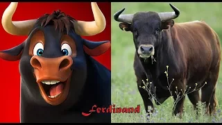 Ferdinand Characters In Real Life! (2018)