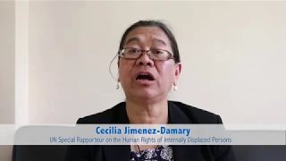 Video statement: UN Special Rapporteur on the Human Rights of Internally Displaced Persons