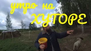 Моё утро // переезд в деревню //хутор Загайки