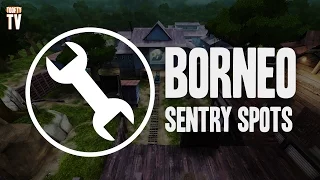 Borneo Sentry Spots