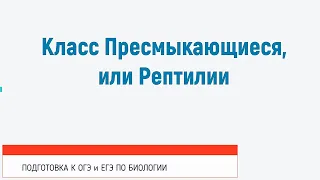 Класс Пресмыкающиеся, или Рептилии