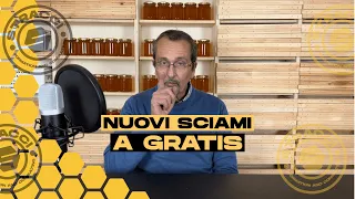 Sciami GRATIS! - Ecco come ATTRARRE MAGNETICAMENTE a te Sciami