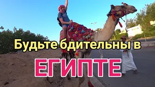 Будьте бдительны в Египте. Шарм Эль Шейх, январь 2020.