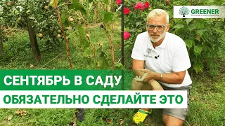 ВАЖНЫЕ САДОВЫЕ РАБОТЫ В СЕНТЯБРЕ! Советы опытного садовода.