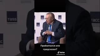 Жириновский выборы в больше не будет президента