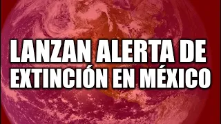 Lanzan alerta de extinción en México