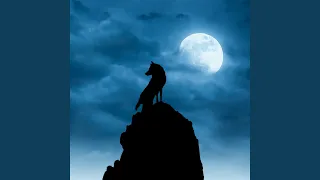 Звук воя волка