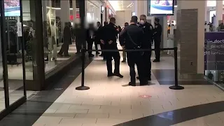 Altercation ends with stabbing during Black Friday shopping at Roosevelt Field Mall