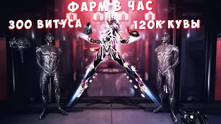 Как правильно фармить эссенцию витус. 300 Витуса в час или 120к кувы Warframe