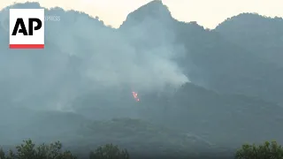 Pakistani authorities battle forest fires in Islamabad's Margalla Hills National Park