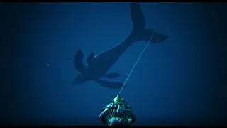 Atlas How to dive for Sunken Treasure - Atlas Single Player