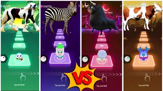 Funny Horses🆚Funny Zebra🆚Funny Ferdinand🆚Funny Cow dance💫Lets see Who is best?#coffindance