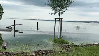 Die aktuelle Hochwasser-Situation in Bregenz