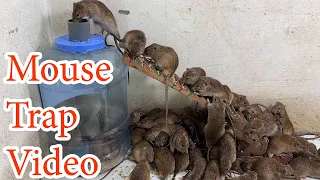 Top 10 top mouse traps in the world  Fall into the trap Mouse trap video