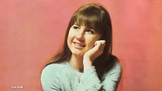 The Seekers Georgy Girl