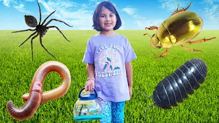 Bug Hunt Outdoor Adventure With Zoe Spiders Beetles Insects Roly Poly