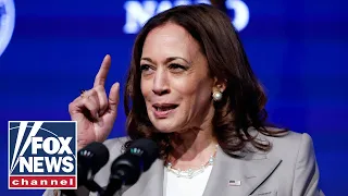 Harris Faulkner grills Democrat: What has Kamala accomplished?