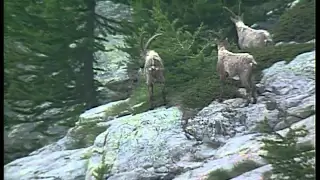 C'est pas sorcier- L'ascension du Mont-Blanc