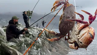 Dungeness Crab GUMBO! Catch and Cook (Bodega Bay, Ca)